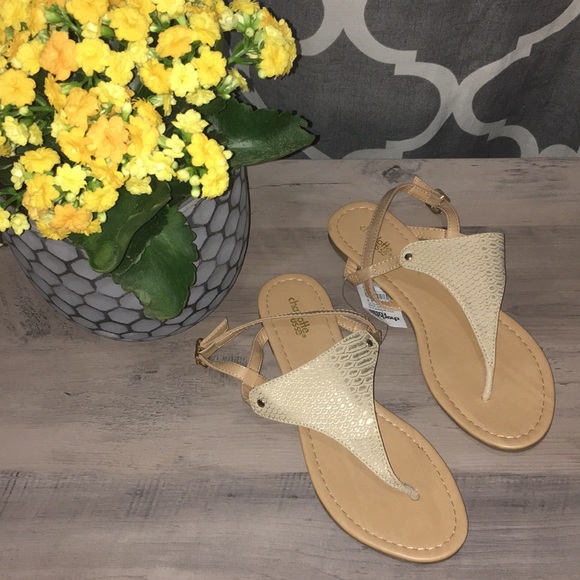 Charlotte Russe Shoes - Sandals